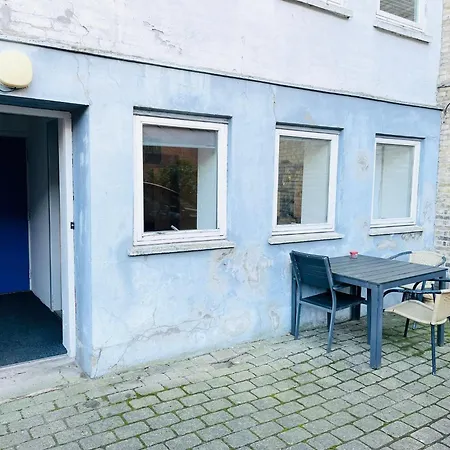 Scandinavian - Tobaksgarden Budget - 2 *
