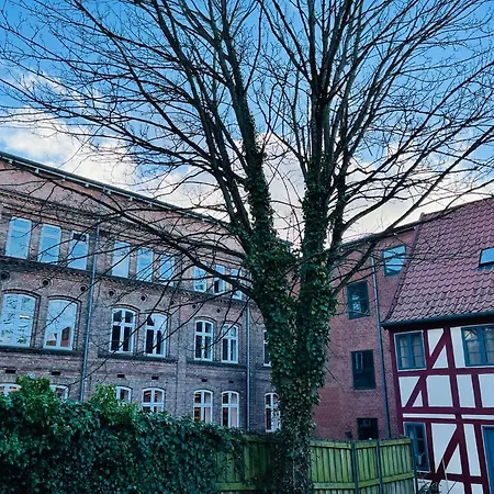 Scandinavian - Tobaksgarden Budget - 2 Horsens